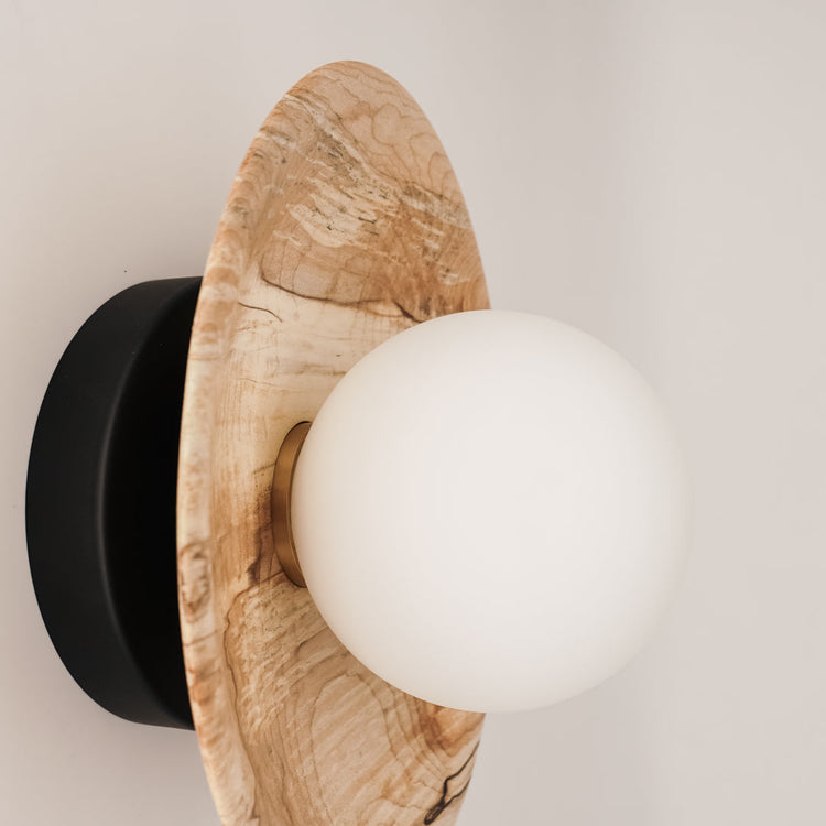 Oystercatcher Sconce