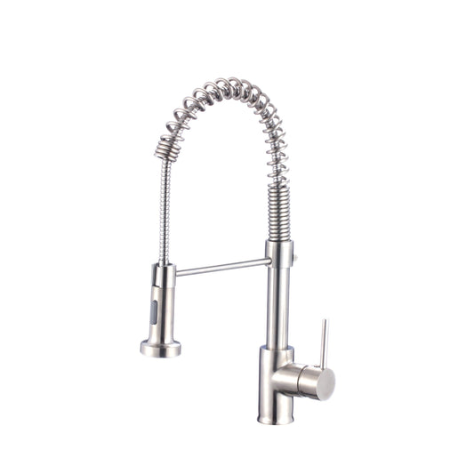 Stylish - Single-Handle Pull-Down Sprayer Kitchen Faucet with Spring Design in Chrome