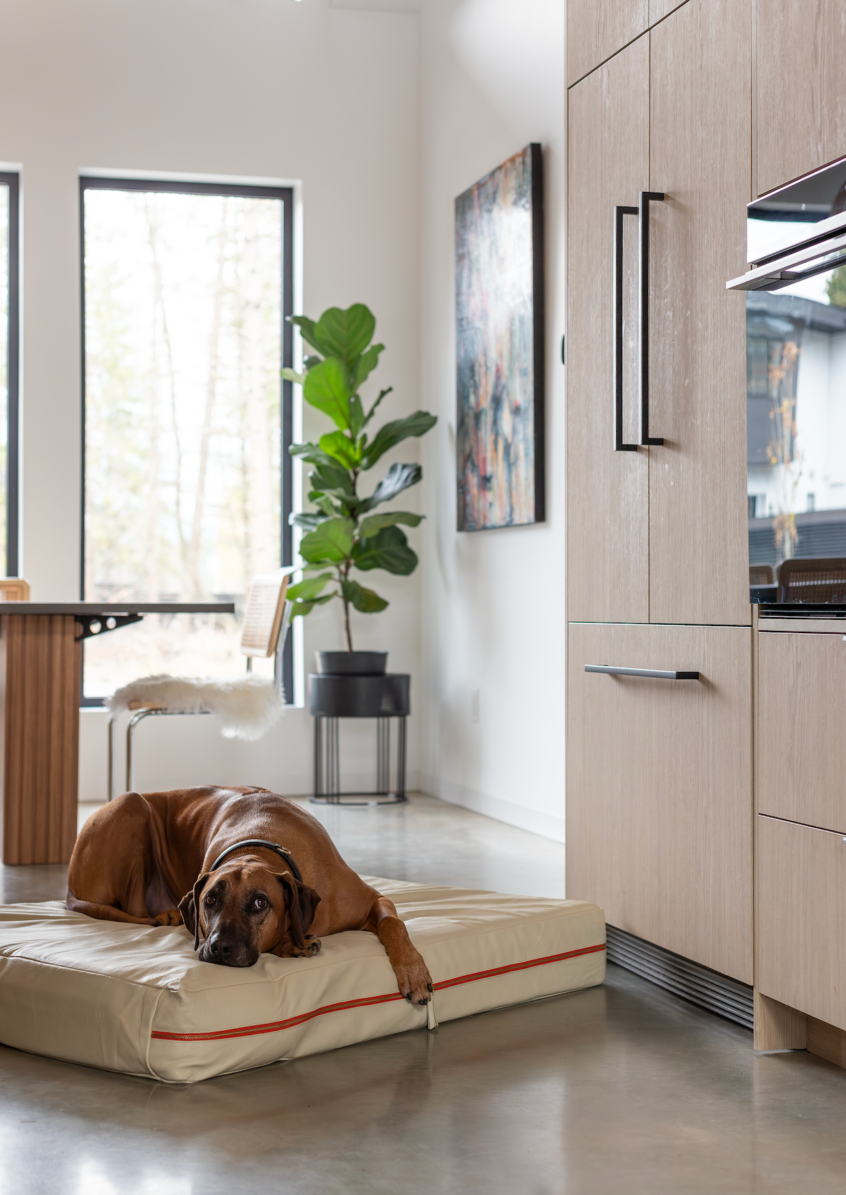 Close detail of Swede cabinetry and kitchen finishes